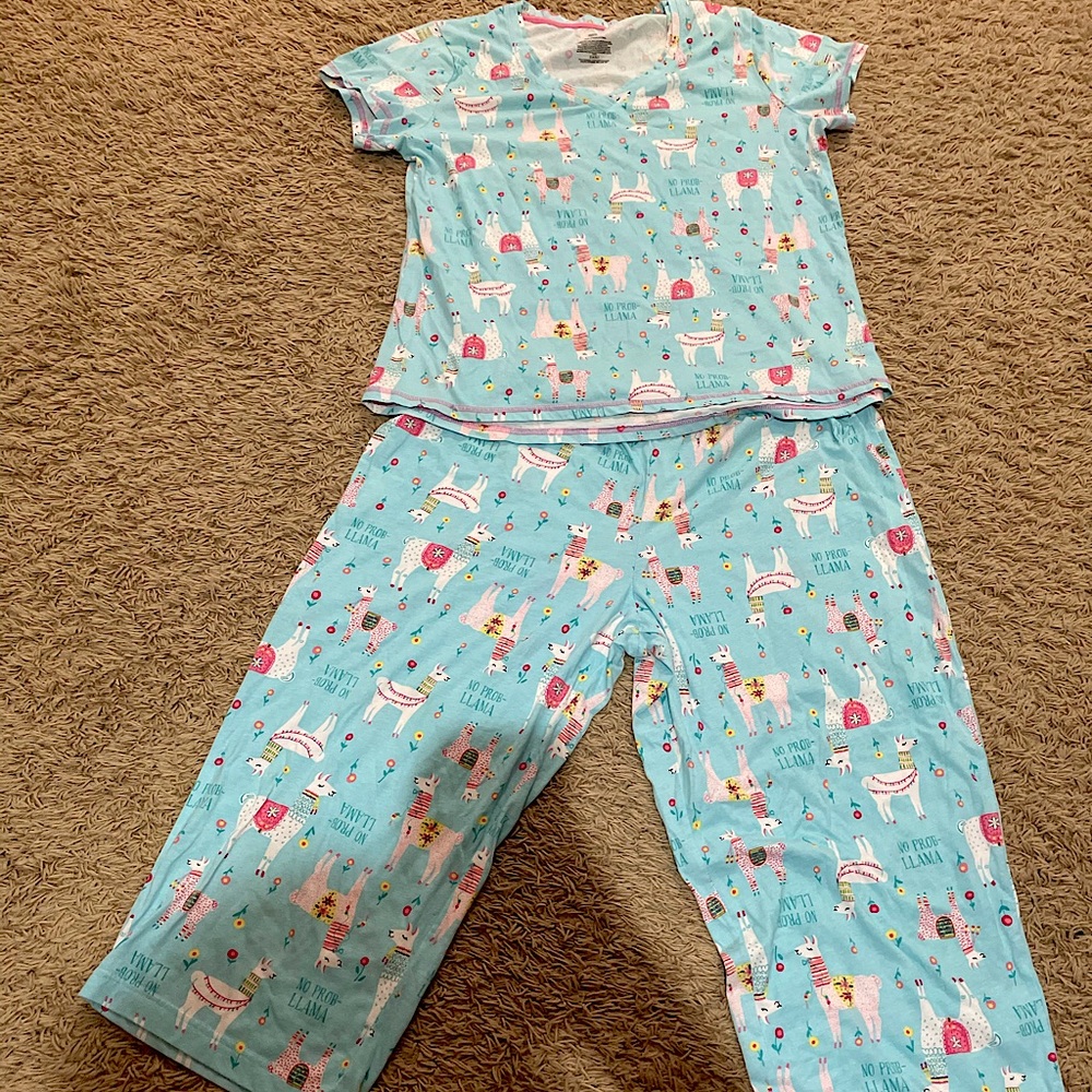 NWOT Secret Treasure Pajama Set